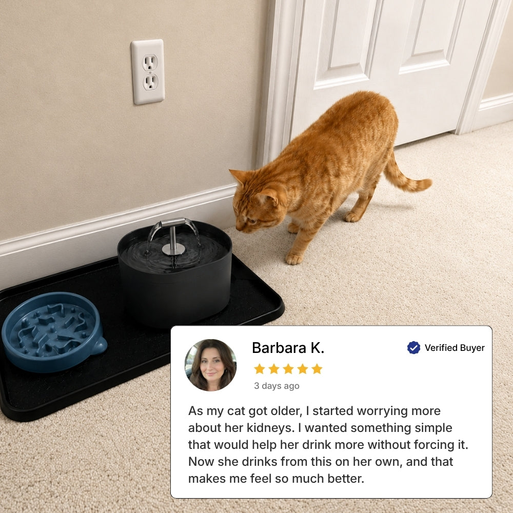 Filtiered Cat Water Fountainn