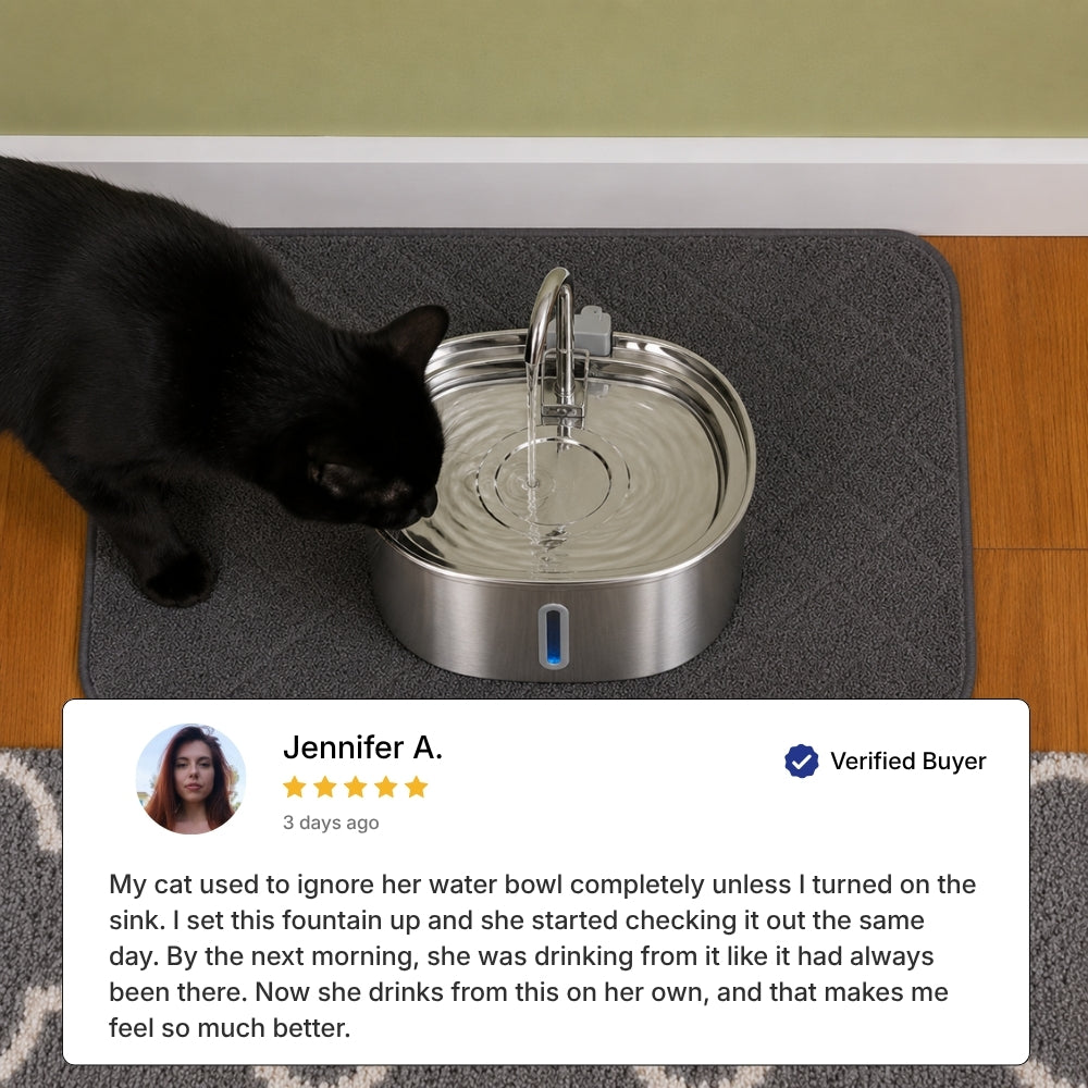 Filtered Cat Water Fountain