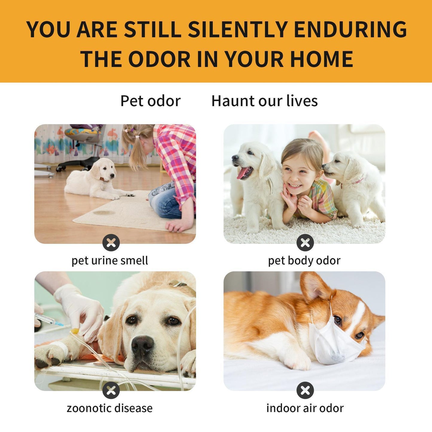 Pet Odor Eliminator Spray