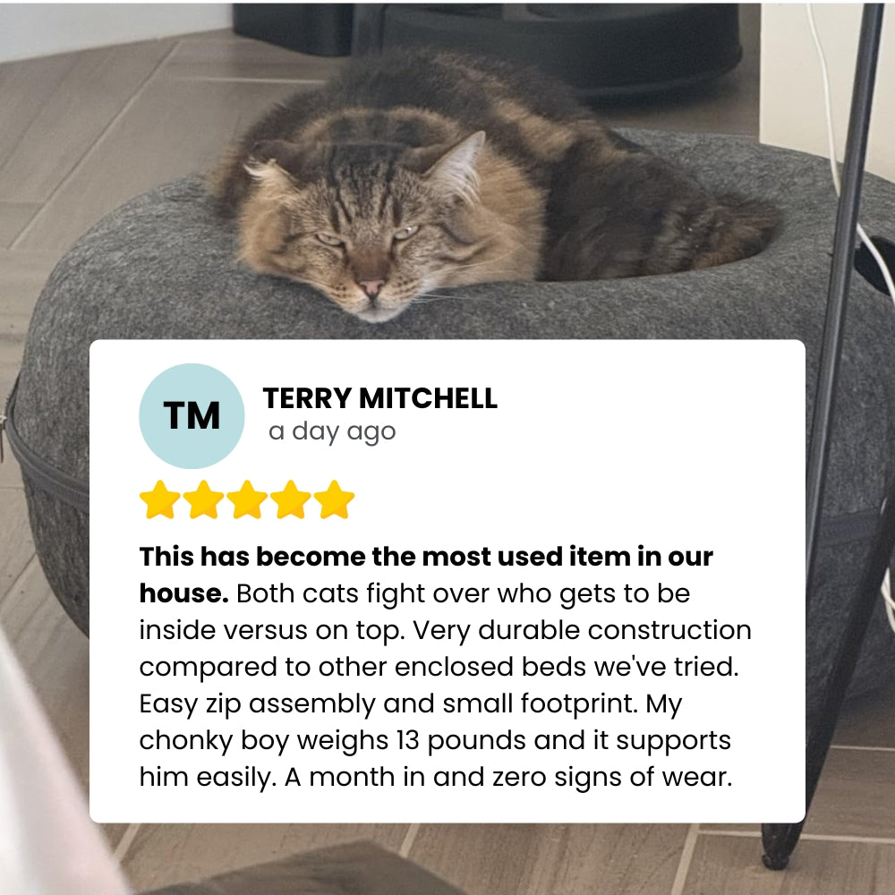 Peekaboo Calming Cat Cave