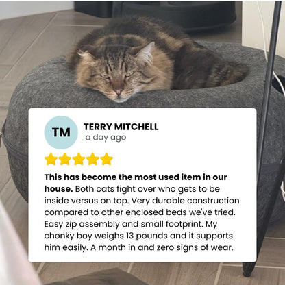 Peekaboo Calming Cat Cave