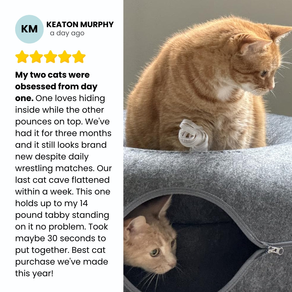 Peekaboo Calming Cat Cave