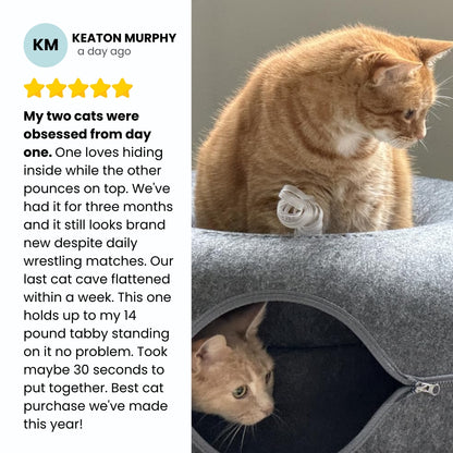 Peekaboo Calming Cat Cave