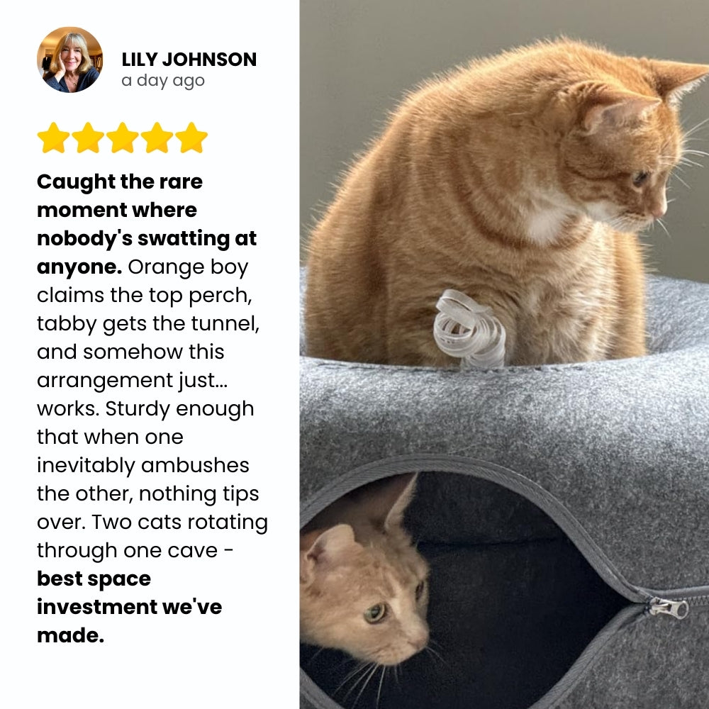 Peekaboo Cat Enrichment Cave