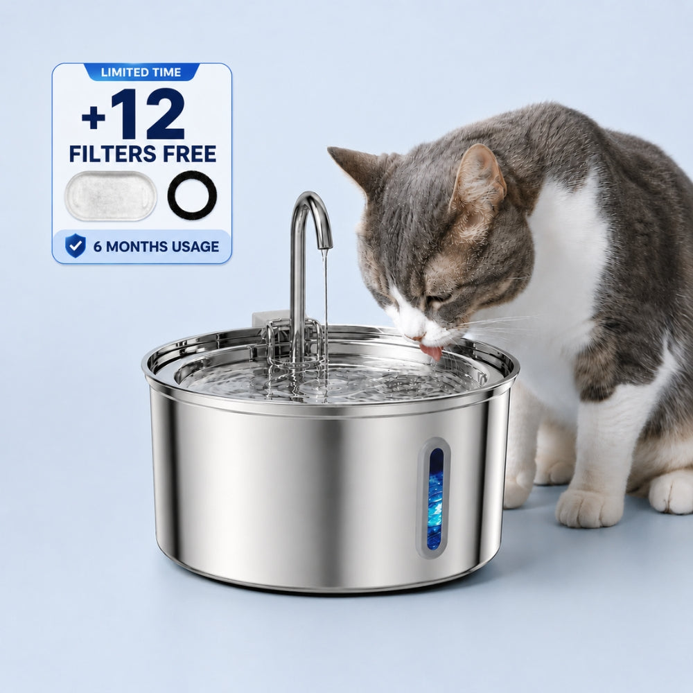 Filtered Cat Water Fountain
