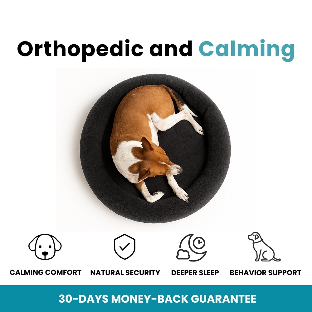 SafeNest™ Calming Bed