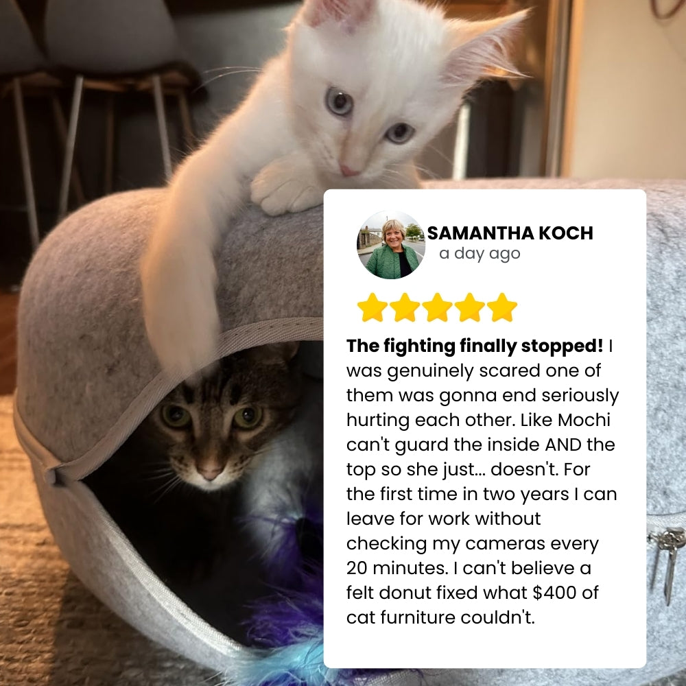 Peekaboo Cat Enrichment Cave