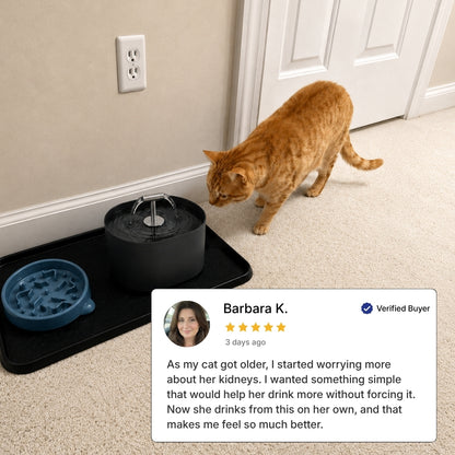 Filtiered Cat Water Fountainn