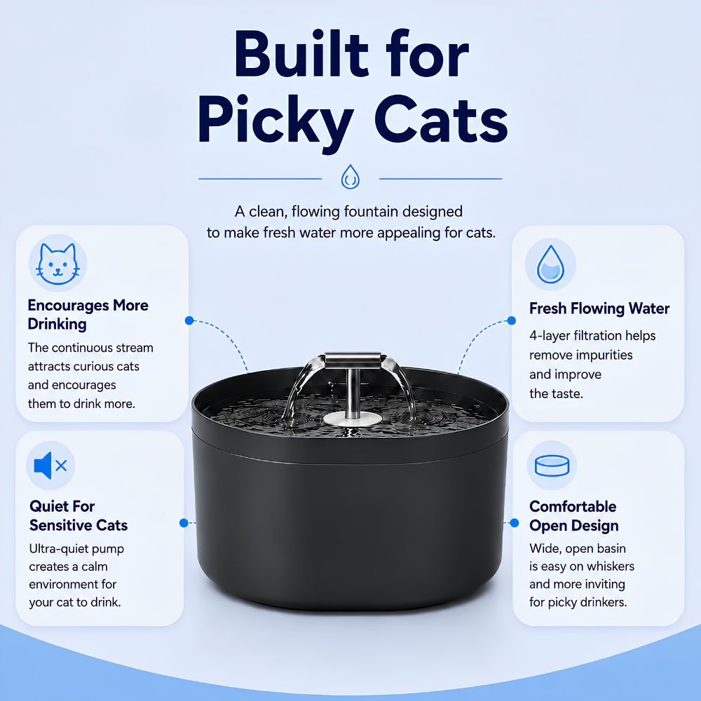 Filtiered Cat Water Fountainn
