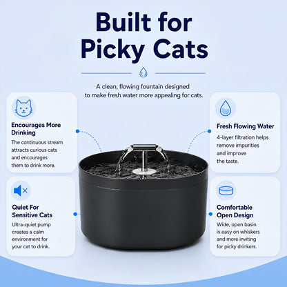 Filtiered Cat Water Fountainn