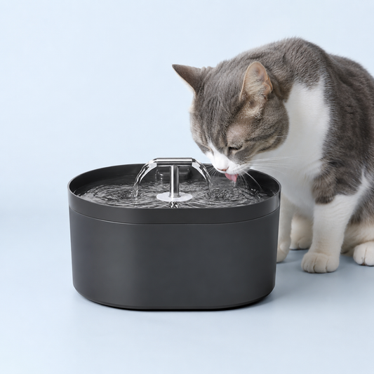 Filtiered Cat Water Fountainn